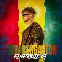 Descarca: Fly Project - Don Reggaeton