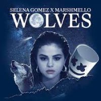 Ringtone:Selena Gomez - Wolves (Instrumental)